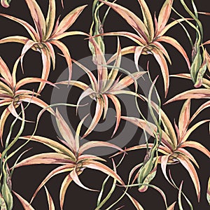 Watercolor tropical leaves seamless pattern. Air plant Tillandsia botanical texture. Succulent terrarium plants