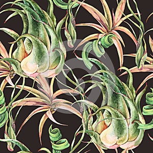 Watercolor tropical leaves seamless pattern. Air plant Tillandsia botanical texture. Succulent terrarium plants