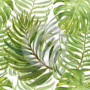 Watercolor tropical leaves seamless pattern. Exotic green palm foliage on white background. Hand drawn botanical print