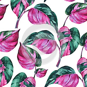 Watercolor tropical leaves seamless pattern. Philodendron pink princess botanical wallpaper