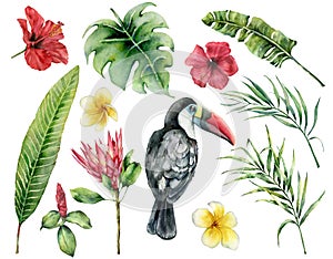 Watercolor tropical leaves and toucan set. Hand painted hibiscus, plumeria, monstera, protea isolated on white