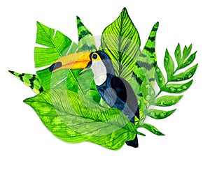 Watercolor tropical leaves and toucan on white background