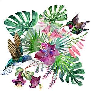 Watercolor tropical narute illustration photo