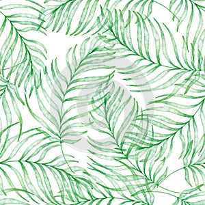 Watercolor tropical palm leaves seamless pattern