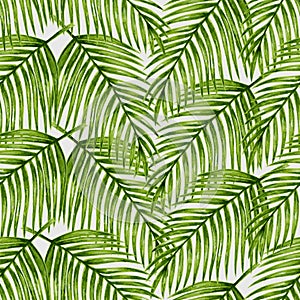 Watercolor tropical palm leaves seamless pattern.