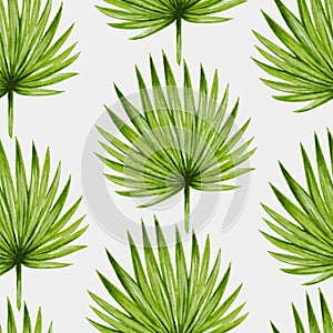 Watercolor tropical palm leaves seamless pattern