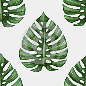 Watercolor tropical palm leaves seamless pattern