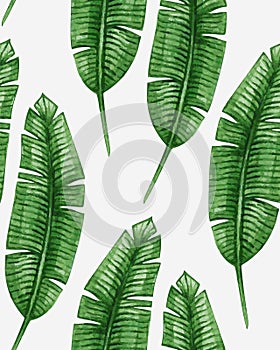 Watercolor tropical palm leaves seamless pattern