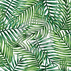 Watercolor tropical palm leaves seamless pattern