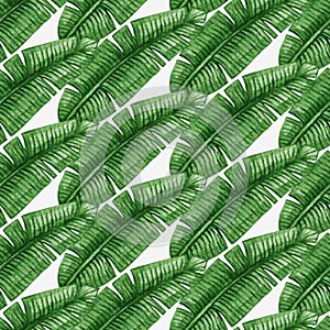 Watercolor tropical palm leaves seamless pattern