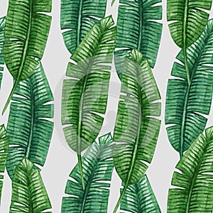 Watercolor tropical palm leaves seamless pattern.