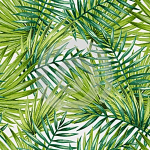 Watercolor tropical palm leaves seamless pattern.