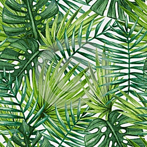 Watercolor tropical palm leaves seamless pattern.