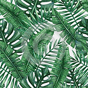 Watercolor tropical palm leaves seamless pattern.