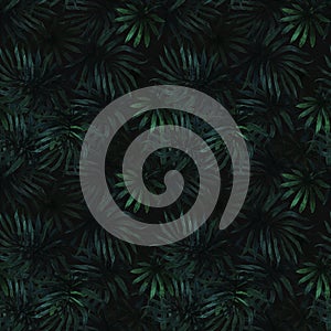 Watercolor tropical palm leaves seamless pattern. Hand drawn jungle illustration dark background.