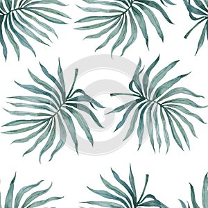 Watercolor tropical palm leaves seamless pattern. Hand drawn jungle illustration whte background.