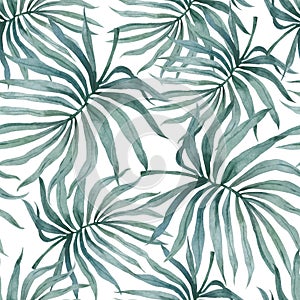 Watercolor tropical palm leaves seamless pattern. Hand drawn jungle illustration whte background