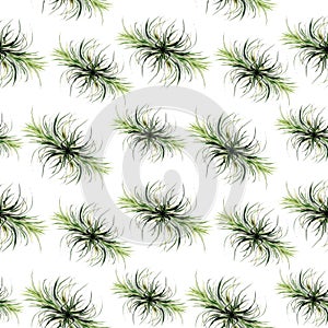 Watercolor tropical palm leaves seamless pattern. illustration. branch, trendy, textile, forest, fabric, banana, white, wrapping,