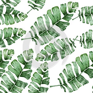 Watercolor tropical palm leaves seamless pattern. Jungle leaf hand drawn illustration.