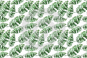 Watercolor tropical palm leaves seamless pattern. Jungle leaf hand drawn illustration.
