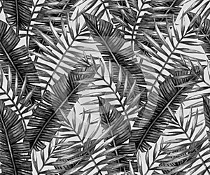 Watercolor tropical palm leaves seamless pattern monochrome