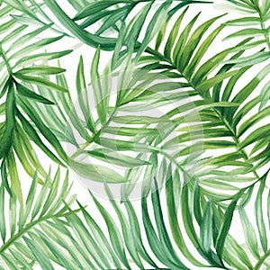 Watercolor tropical palm leaves seamless pattern. Vector illustration.