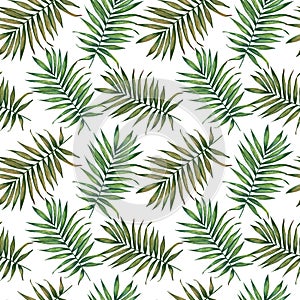 Watercolor tropical palm leaves seamless pattern on a white background.