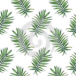 Watercolor tropical palm leaves seamless pattern on a white background.