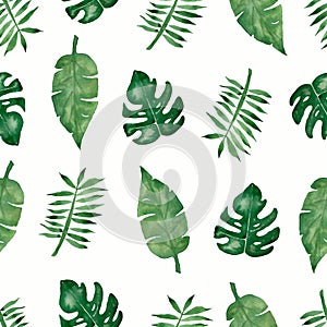 Watercolor tropical palm,monstera leaves seamless pattern