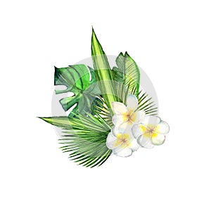 Watercolor tropical plant leaves and exotic plumeria flowers