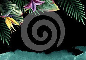 Watercolor tropical plants background. Exotic palm leaves, jungle tree, flowers on black background