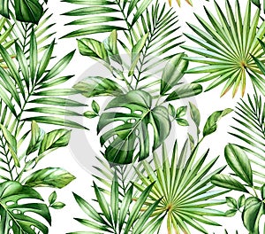 Watercolor tropical seamless pattern. Exotic palm leaves, monstera, coconut isolated on white. Botanical hand drawn