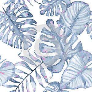 Watercolor tropical seamless pattern hand painted with leaves of indigo palm monstera isolated on white background