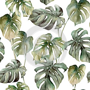 Watercolor tropical seamless pattern with monstera leaves. Hand painted exotic leaves, branches isolated on white