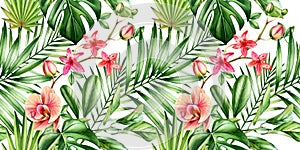 Watercolor tropical seamless pattern. Orchid flowers and palm leaves, monstera, coconut isolated on white. Botanical