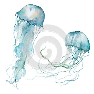 Watercolor tropical set of blue jellyfish. Underwater animals isolated on white background. Aquatic illustration for