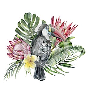 Watercolor tropical toucan and flowers bouquet. Hand painted bird, protea and plumeria isolated on white background