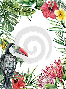 Watercolor tropical toucan and flowers card. Hand painted bird, protea, hibiscus and plumeria isolated on white