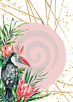 Watercolor tropical toucan and protea card. Hand painted bird and flowers isolated on white background. Nature botanical