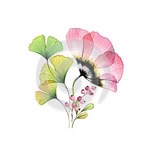 Watercolor tulip bouquet. Big pink flower with ginkgo leaves and berries isolated on white. Hand painted artwork with x