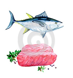 Watercolor Tuna fish sliced isolated on a white background