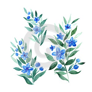 Watercolor twigs with blue flowers