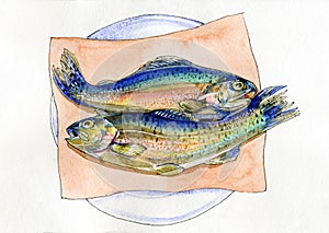 Watercolor two trouts on plate