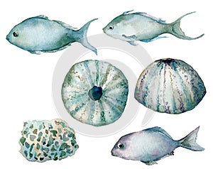 Watercolor underwater set of shells, fishes and urchin. Hand painted sea elements isolated on white background. Aquatic