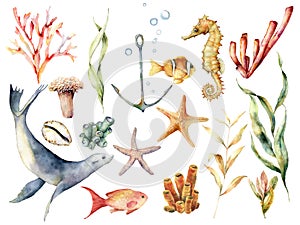 Watercolor underwater wildlife set. Hand painted coral reef, sea lion, tropical fish, anchor, seahorse and laminaria