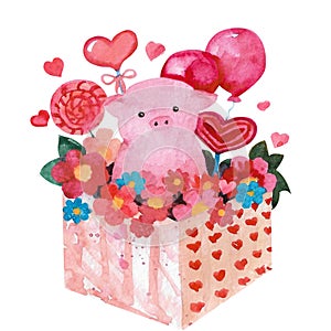 Watercolor Valentine's day pig. Piglet in a colored box with flowers isolated on white