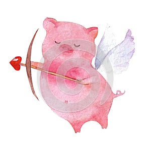 Watercolor Valentine's day pig. Piglet Cupid isolated on white