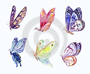 Watercolor vector butterflies in three-quarter view