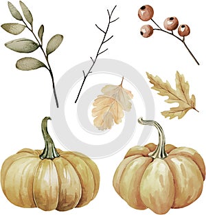 Watercolor vector collection of autumn forest floral elements, isolated on white background.