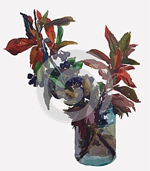 Watercolor vector drawing of autumn bouquet from branches viburnum black with ripe berries in glass jar